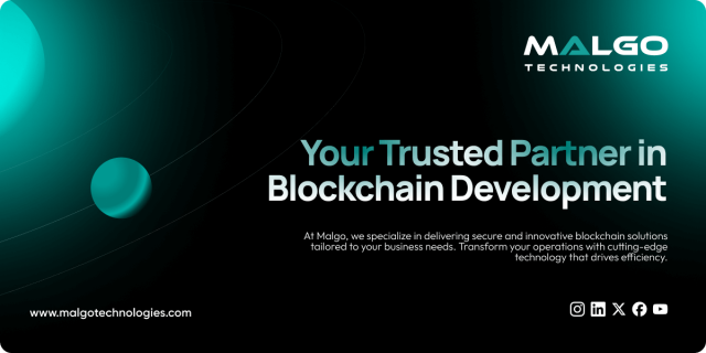 Blockchain Development Company: Everything You Need to Know
